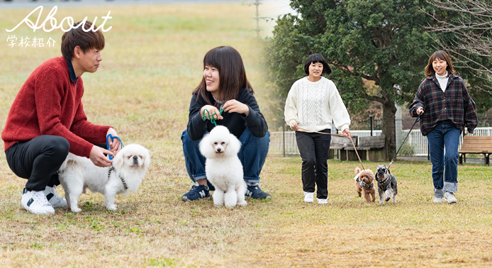 About 学校紹介 LIFE with PET! 共に歩んでいく。 今やペットは家族同様に生活の中でかけがえのない存在です。高知ペットビジネス専門学校では人と動物が大切なパートナーとしてより良い関係を築くためのスキルとノウハウを学びます。